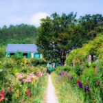 Photo Flower garden